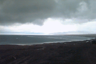 �V�R�R���̒��̃Z������