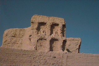 ���͌̏�̕�