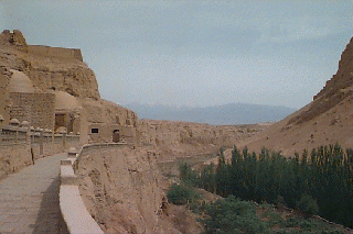 �x�[�N���N�畧��