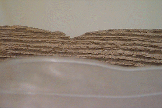 ���̒���̈ꕔ