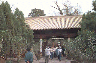 ���_�̓����