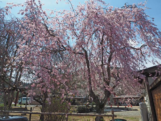 ヤナ公園