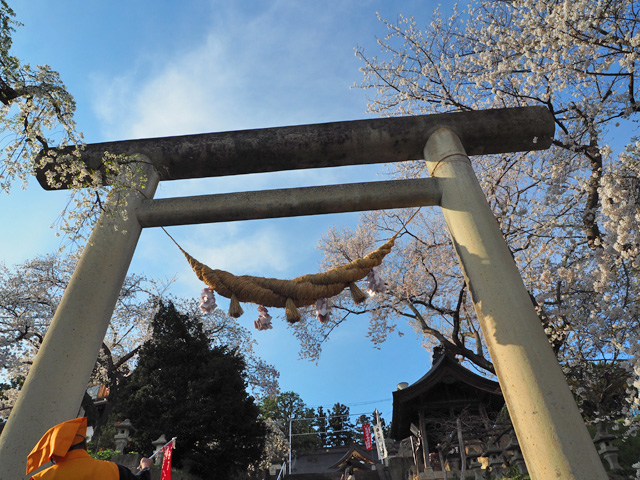 烏帽子山の大鳥居