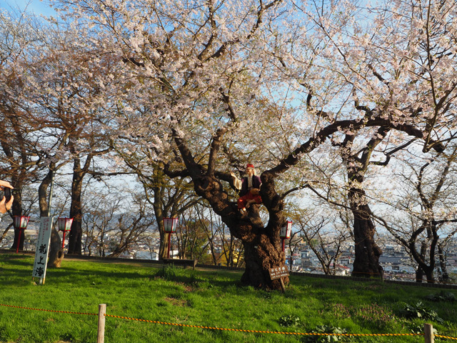 烏帽子山公園