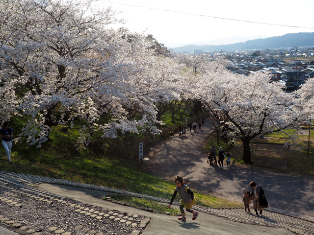 烏帽子山公園