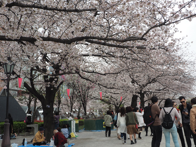 隅田公園