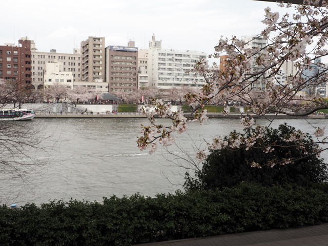 隅田公園