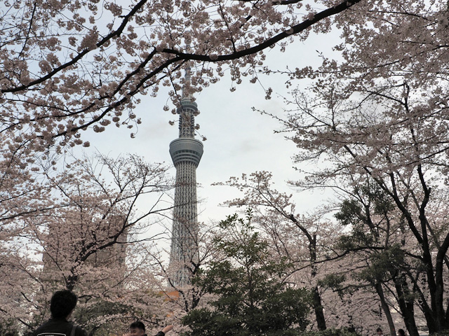 隅田公園