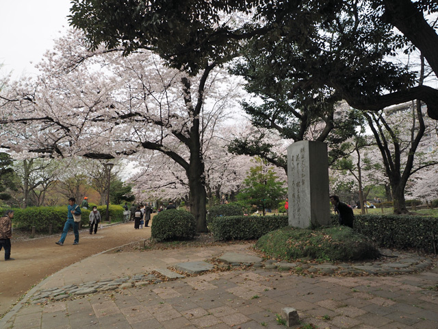 隅田公園