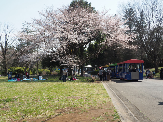 昭和記念公園