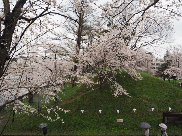 高田城の土塁