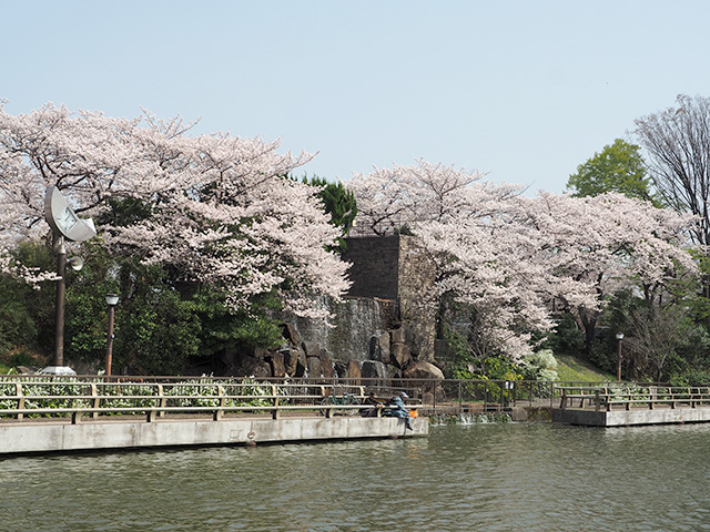 水元公園