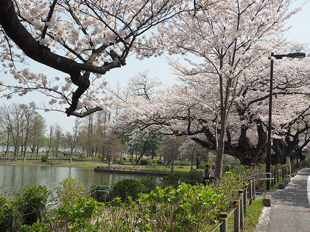 水元公園