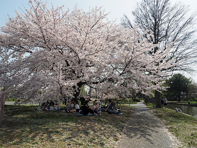 水元公園