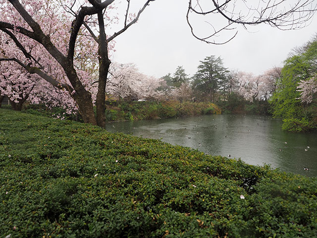 高岡古城公園