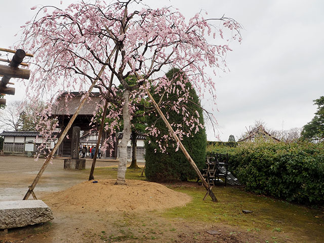 高岡瑞龍寺