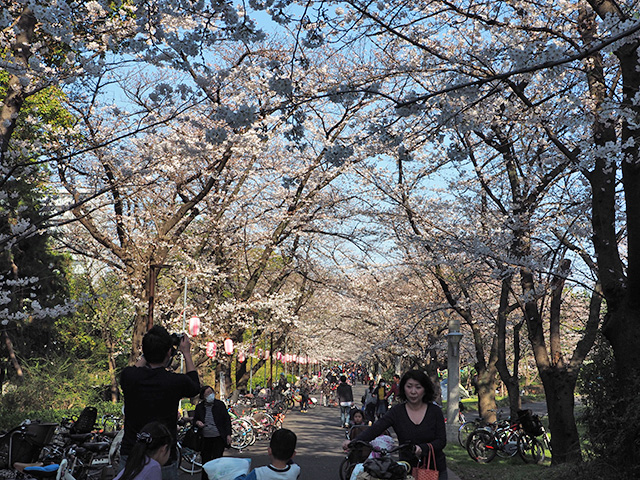 辰巳の森緑道公園