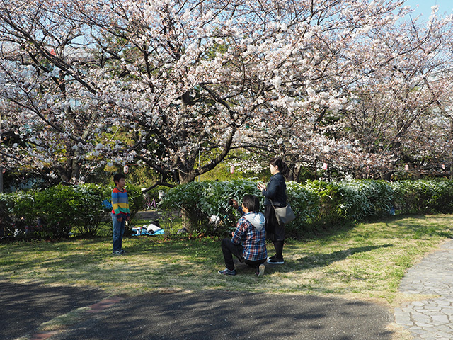 辰巳の森緑道公園