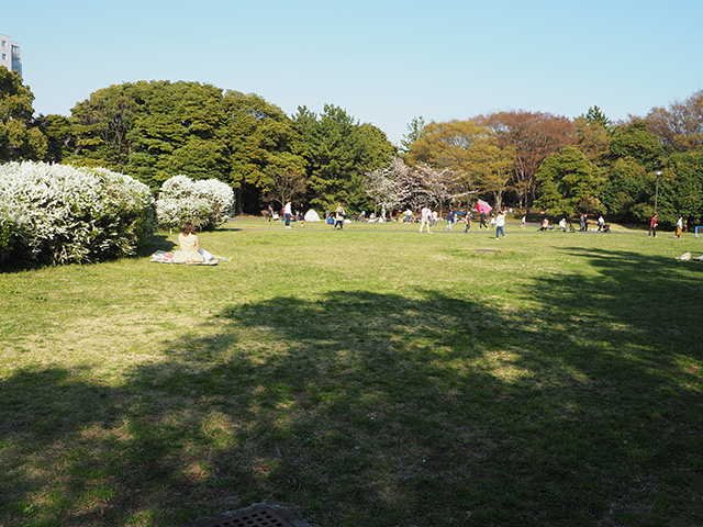辰巳の森緑道公園