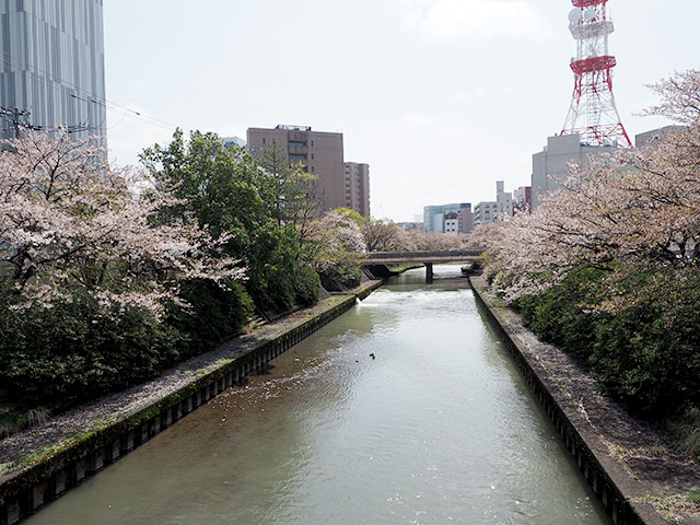 富山松川公園