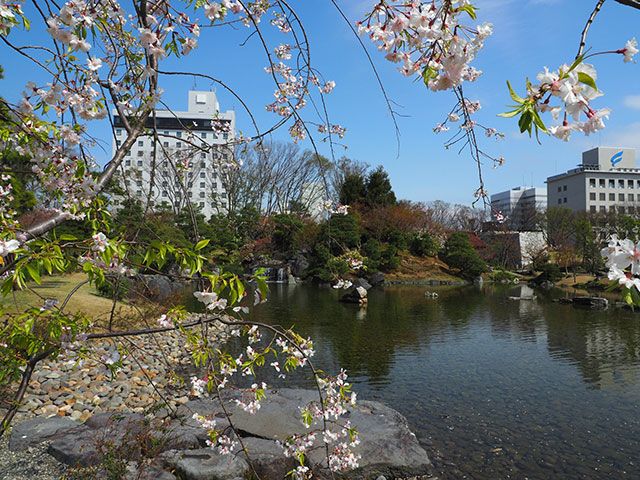 富山城址公園