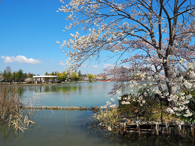 開成山公園
