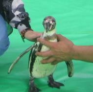 仕事だから触らせてやってるんだぜ
