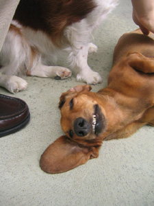 もう好きにして…。