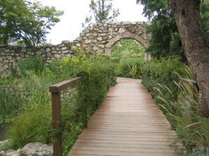 ここには花、映ってないけど。(^_^;)