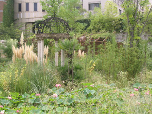 自分では着ないけど、好きです。ゴスロリ。ロリータ服も。(^^ゞ