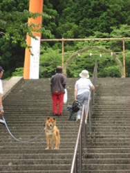 のんきクンの後ろにいるのは、通りすがりの参拝客さん