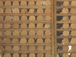 ズラリと並んだ手鏡型絵馬