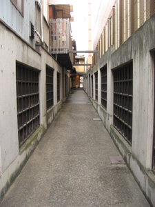 細長い通路を通ってお店に入ります。