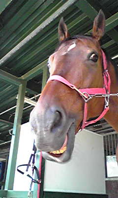 この顔大好き。(*^^*)