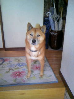 一仕事終えた後のスッキリ顔