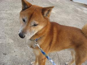 いきなり１人増えた