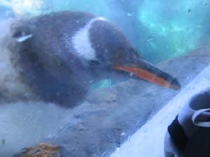 今日も人が多いなぁ