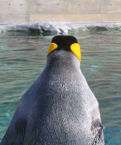 こいつもすぐ目の前にいた