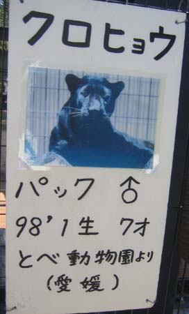 とべ動物園も、また行きたいな。(^^)