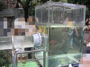 �A�N��������