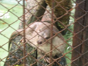 �B�̒��ł�