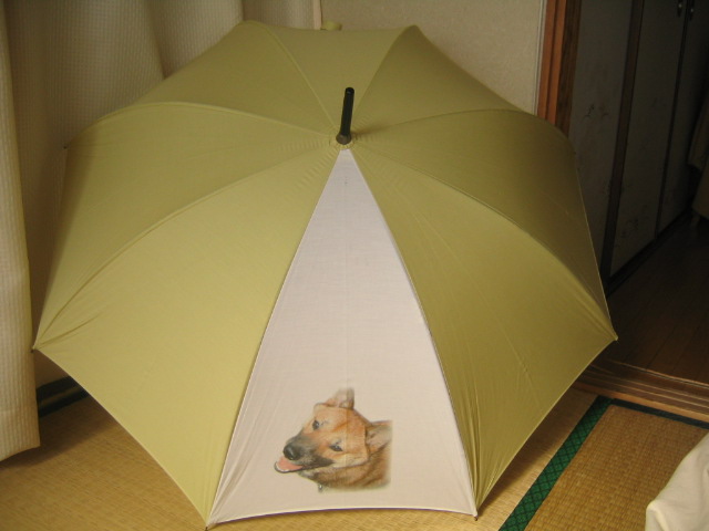 �ʐ^���̂ڂ����́A�����ŏ��������B