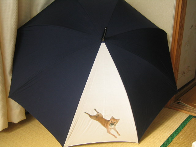 �̂񂫂́A����ȕ��ɋr���L���ĐQ���ׂ邱�Ƃ������B(^^)