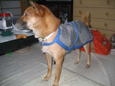 ���߂ĊC�ۂ̔��͕ЂÂ��ĎB��΂悩�����c�B(^_^;)