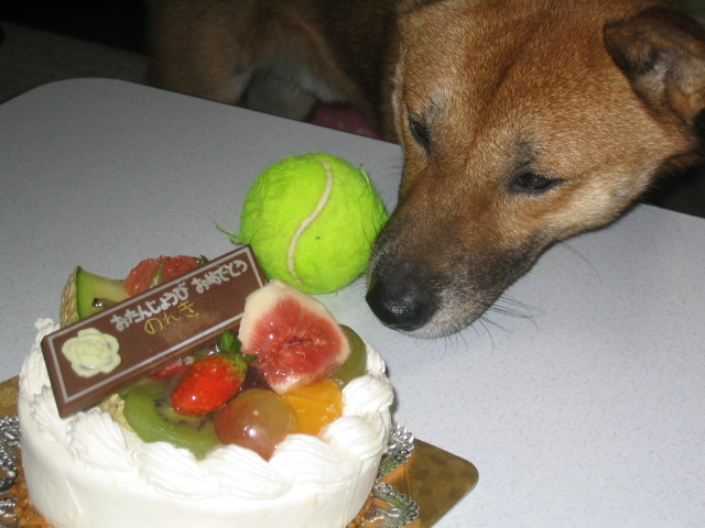 ���񂭂�B����������������