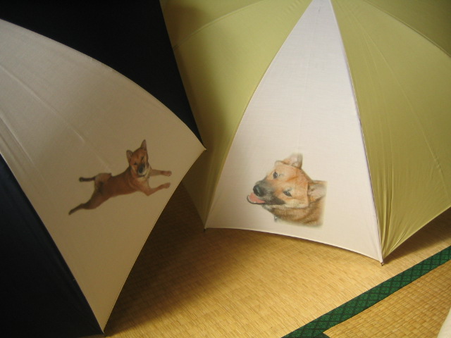 �Q�{���I�[�_�[����������B(^^)