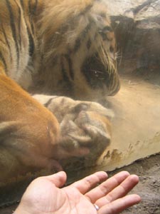 ��r���Ă݂�