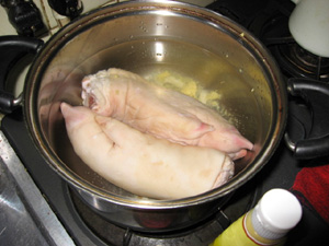 �Ђ��Ђ�����Ԃ����