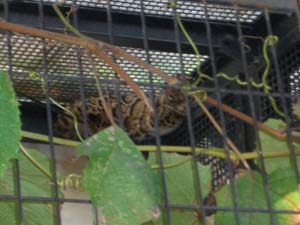 隅っこでキツそう…。(^_^;)