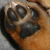 ɂ